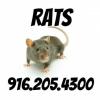 Mission Neighborhood Pest Control offer Home Services