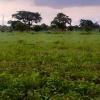 1 acre piece of land for sale in lusaka west zambia offer Commercial Real Estate