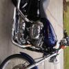 2007 Harley Sortster 1200 custom offer Motorcycle