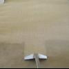 Professional Carpet Cleaning  offer Cleaning Services