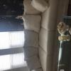 Couch and love seat offer Home and Furnitures