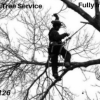 Brothers Tree Service  offer Service Wanted
