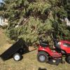 Craftsman riding mower and wagon offer Lawn and Garden