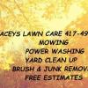 lawn care ,yard clean up ,brush and junk removal ,Power washing offer Professional Services