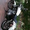 Like New 2013 Harley. Call for details offer Motorcycle