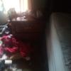 MOVING SALE EVERYTHING MUST GO !!!! offer Home and Furnitures