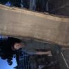 Live edge walnut wood slabs offer Home and Furnitures