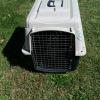 Medium size Dog Crate offer Home and Furnitures