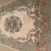 Area rug offer Home and Furnitures
