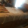 Single beds for sale - good condition offer Home and Furnitures