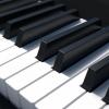Piano Lessons offer Professional Services