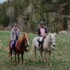 2 Trail Horses for sale offer Items For Sale