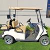 Like NEW 2016 EZGO TXT Electric Golf Cart offer RV