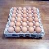 farm fresh XL eggs offer Lawn and Garden