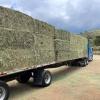 Hay for sale  offer Events
