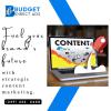 Content Marketing Agency in Florida - Budget Direct Ads Inc offer Web Services