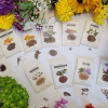 Medicinal Garden Kit – BRAND NEW! offer Lawn and Garden