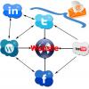 Social Media Management