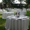 wedding rentals in Orange County offer Service Wanted