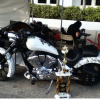 2011 Honda Fury Custom offer Motorcycle
