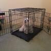 Dog crate offer Home and Furnitures