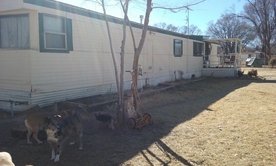 1982 Windsor Mobile Home For Sale By Owner Albuquerque Classifieds