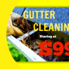 Gutter Cleaning and Gutter Guards  offer Home Services