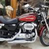 2008 HD 1200c Sportster offer Motorcycle