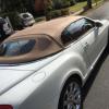 2008 Bentley Continental GT Coupe offer Car