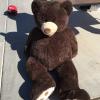 Teddy Bear- 41/2 feet tall