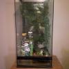 Terrarium offer Items For Sale