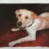 Custom Oil Portrait