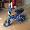 DiBlasi R7 moped offer Sporting Goods