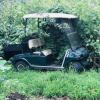 Golf cart offer Lawn and Garden