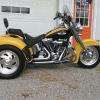 Beautiful Harley Davidson Trike