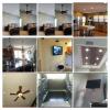 Ceiling Fan Installation Expert offer Home Services