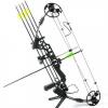 Compound Bow 
