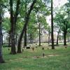 Houston TX Cemetery Plots (Four in a Row) or Two Side x Side Memorial Oaks Cemetery offer Items For Sale