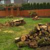 FREE Firewood offer Free Stuff