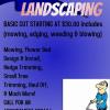 Low cost lawn care  offer Professional Services