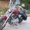 2004 Harley Davidson Sportster Custom 1200