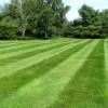 CHEAP LAWN CARE - QUALITY GUARANTEED offer Home Services