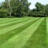 CHEAP LAWN CARE, Quality Guaranteed  offer Home Services