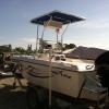 17 ft  Proline boat  with center consol  and  t top