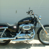 Harley Sportster 1200 