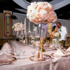 Wedding planner,  Decoration,  offer Professional Services