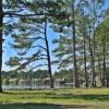 New Bern North Carolina waterfront property for sale 