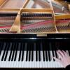 Piano Tuning offer Professional Services