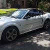 Mustang for sale