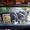 TV CABNET & 2 FISH TANKS WITH CABNETS & ALL ACCESSORIES